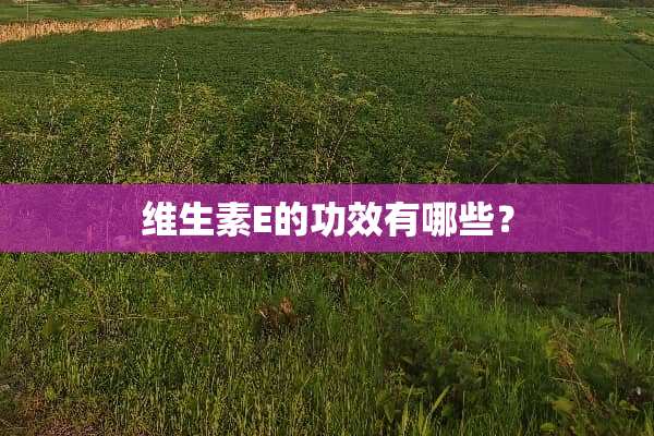 维生素E的功效有哪些？