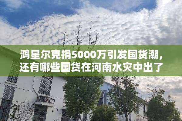 鸿星尔克捐5000万引发国货潮，还有哪些国货在河南水灾中出了力？