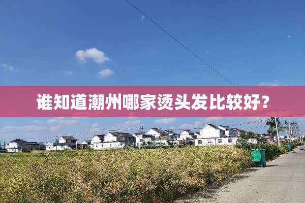 谁知道潮州哪家烫头发比较好？