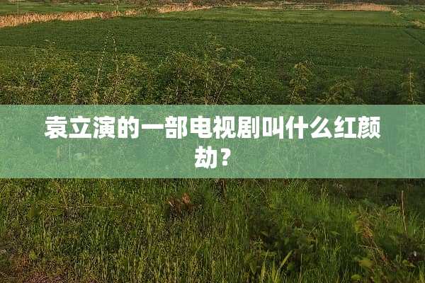 袁立演的一部电视剧叫什么红颜劫？