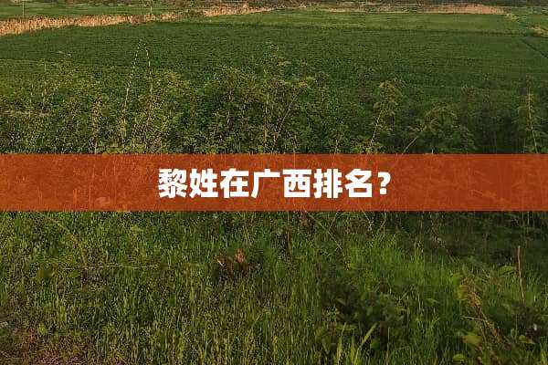 黎姓在广西排名？