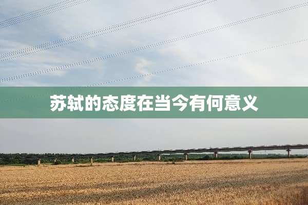 苏轼的态度在当今有何意义