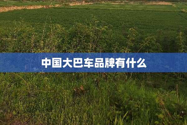 中国大巴车品牌有什么