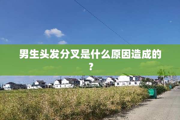 男生头发分叉是什么原因造成的？