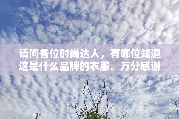 请问各位时尚达人，有哪位知道这是什么品牌的衣服。万分感谢
