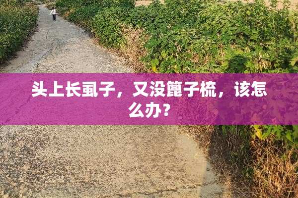 头上长虱子，又没篦子梳，该怎么办？