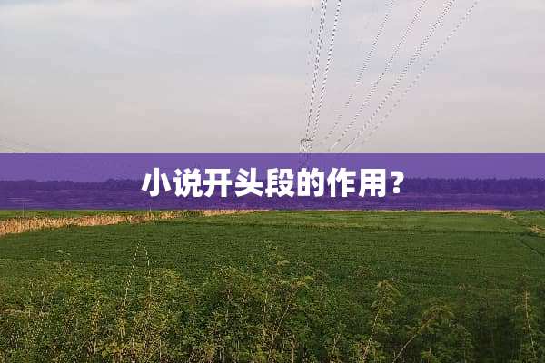 小说开头段的作用？