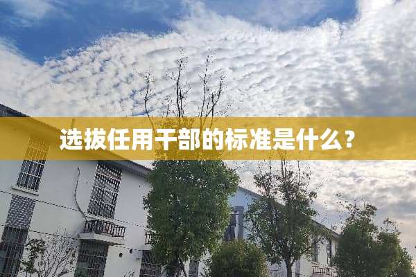 选拔任用干部的标准是什么？