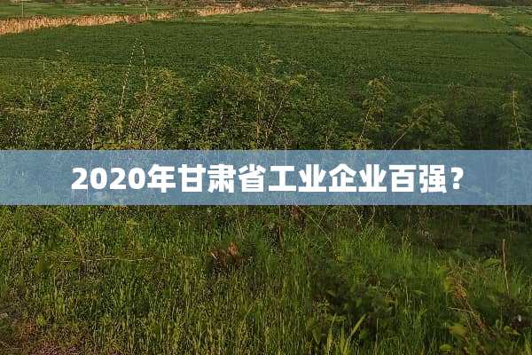 2020年甘肃省工业企业百强？