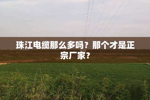 珠江电缆那么多吗？那个才是正宗厂家？