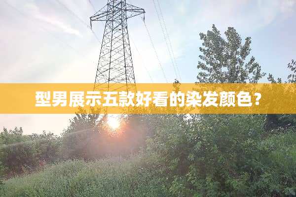 型男展示五款好看的染发颜色？