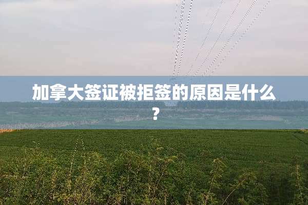 加拿大签证被拒签的原因是什么？