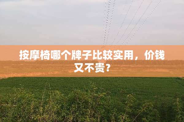 按摩椅哪个牌子比较实用，价钱又不贵？
