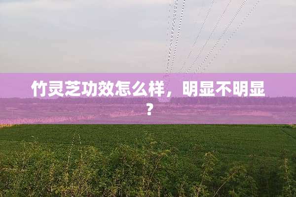 竹灵芝功效怎么样，明显不明显？