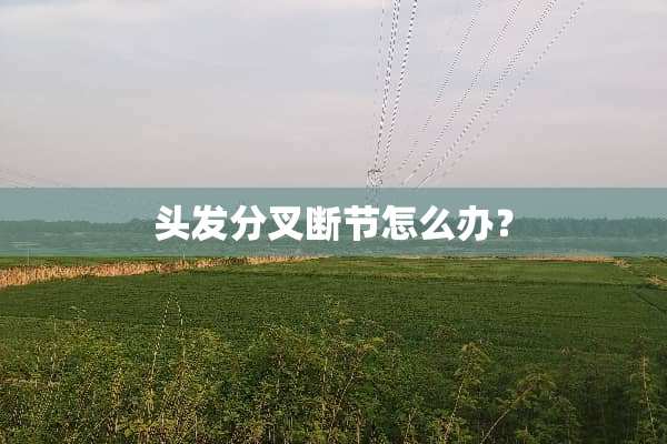 头发分叉断节怎么办？