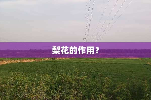 梨花的作用？