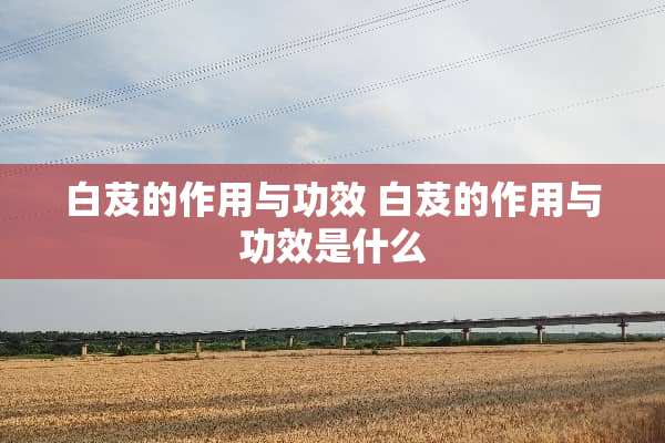 白芨的作用与功效 白芨的作用与功效是什么