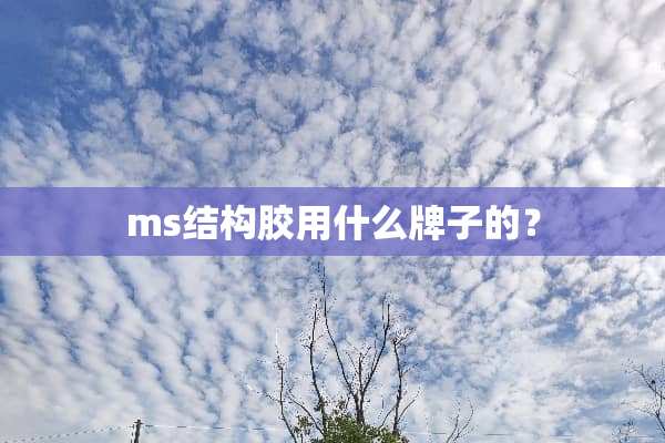 ms结构胶用什么牌子的？