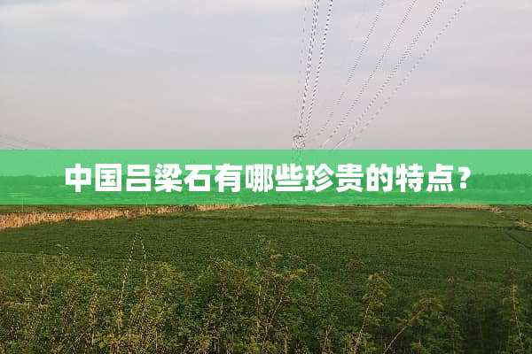 中国吕梁石有哪些珍贵的特点？