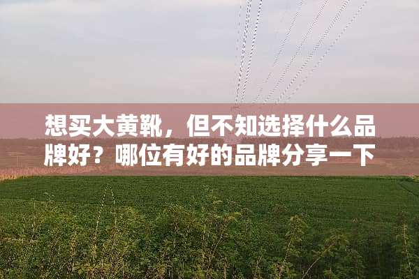 想买大黄靴，但不知选择什么品牌好？哪位有好的品牌分享一下？