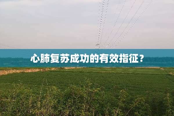 心肺复苏成功的有效指征？