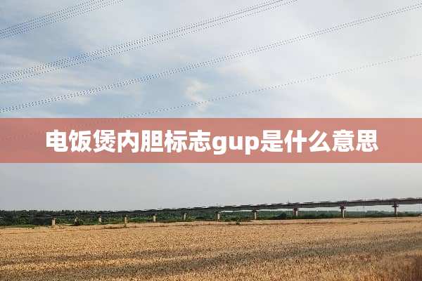 电饭煲内胆标志gup是什么意思