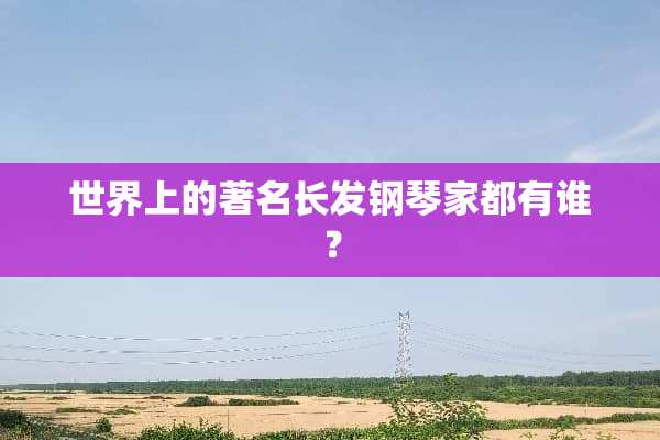 世界上的著名长发钢琴家都有谁？