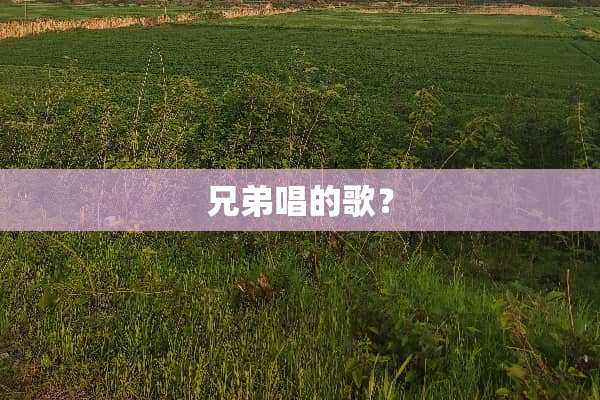 兄弟唱的歌？