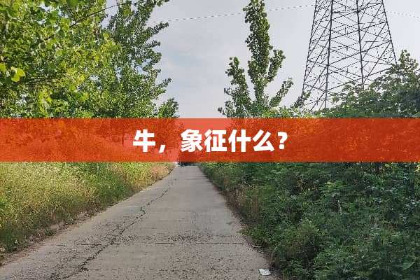 牛，象征什么？