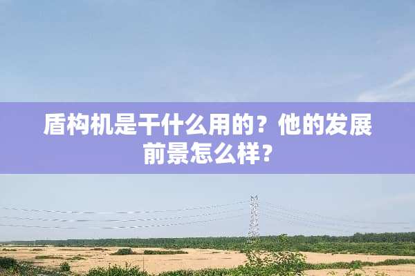 盾构机是干什么用的？他的发展前景怎么样？