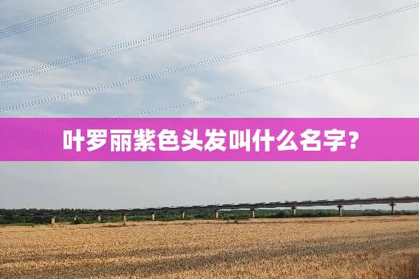 叶罗丽紫色头发叫什么名字？