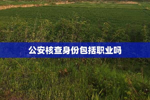 **核查身份包括职业吗