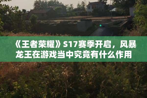 《王者荣耀》S17赛季开启，风暴龙王在游戏当中究竟有什么作用？