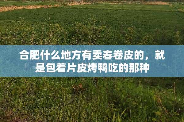 合肥什么地方有卖春卷皮的，就是包着片皮烤鸭吃的那种
