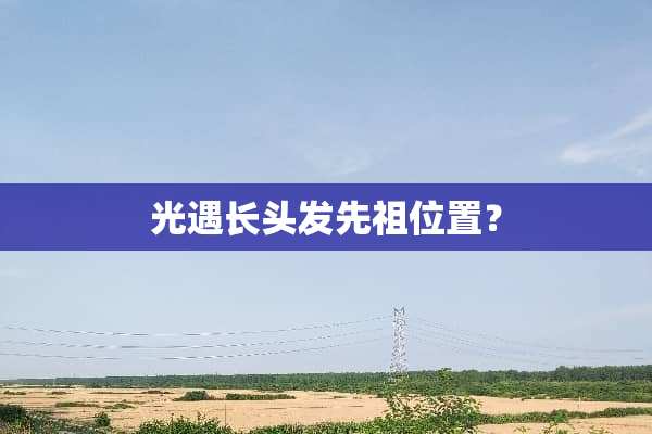 光遇长头发先祖位置？