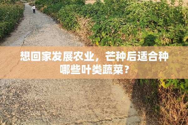 想回家发展农业，芒种后适合种哪些叶类蔬菜？