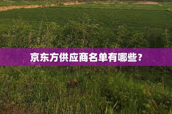 京东方供应商名单有哪些？