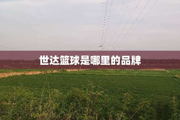世达篮球是哪里的品牌