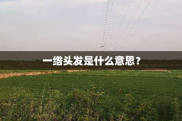 一绺头发是什么意思？