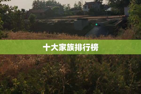 十大家族排行榜