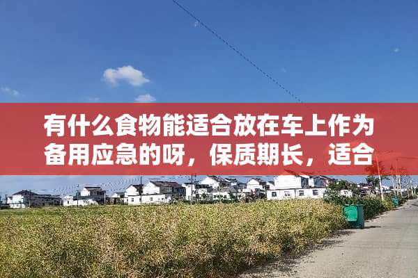 有什么食物能适合放在车上作为备用应急的呀，保质期长，适合车内高温环境？