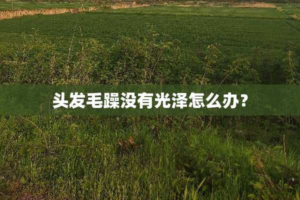 头发毛躁没有光泽怎么办？