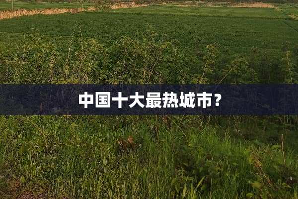 中国十大最热城市？
