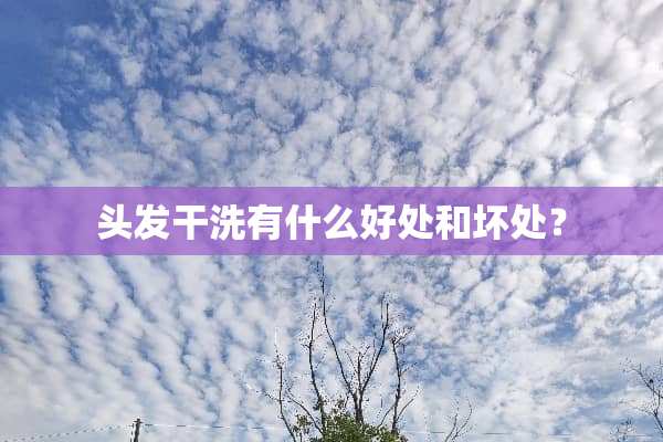 头发干洗有什么好处和坏处？