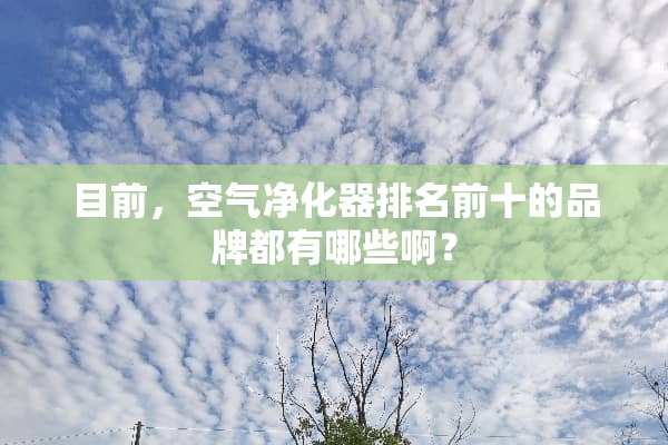 目前，空气净化器排名前十的品牌都有哪些啊？