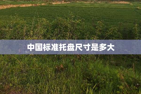 中国标准托盘尺寸是多大