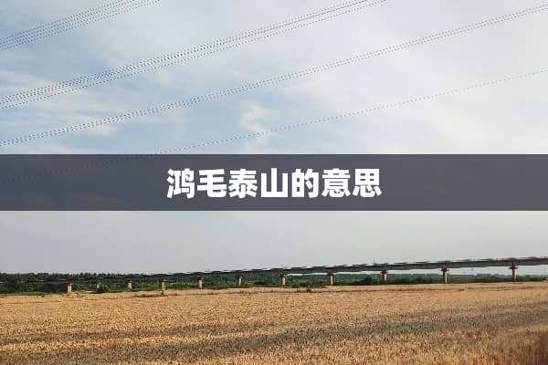 鸿毛泰山的意思