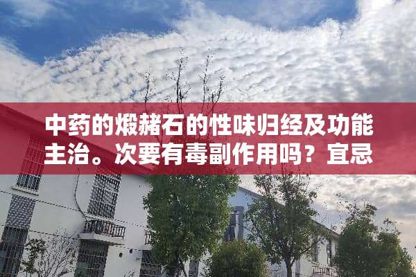 中药的煅赭石的性味归经及功能主治。次要有毒副作用吗？宜忌是什么？