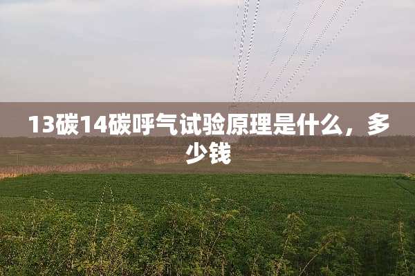 13碳14碳呼气试验原理是什么，多少钱