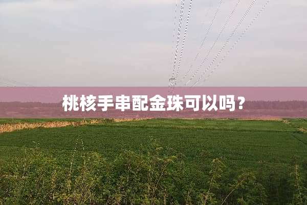桃核手串配金珠可以吗？